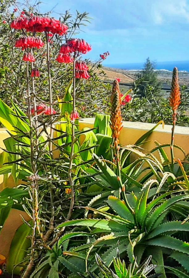 Casitas Tabayesco Guest House Exterior photo